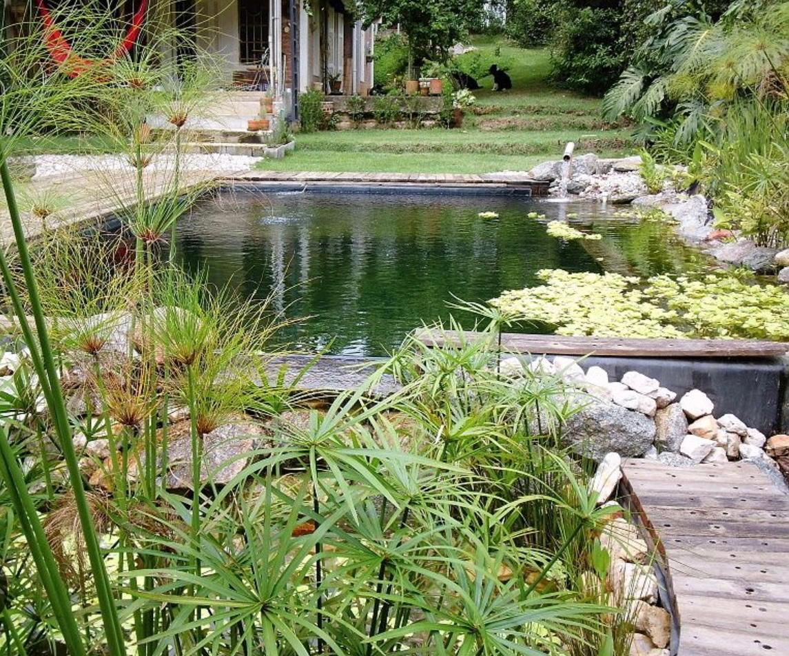 Tené un jardín paradisíaco con estas nuevas tendencias en piletas