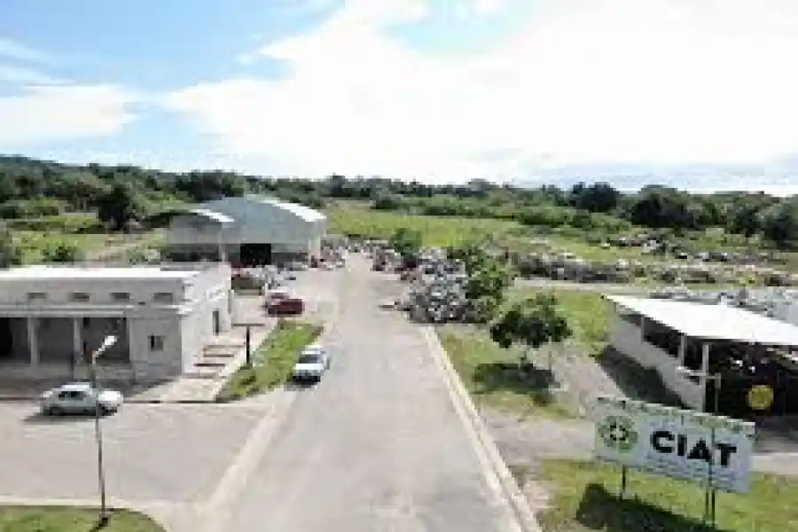 La campaña “Neumatón” colectó casi 250 toneladas de cubiertas en desuso en Tucumán