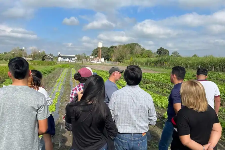 La campaña “Neumatón” colectó casi 250 toneladas de cubiertas en desuso en Tucumán