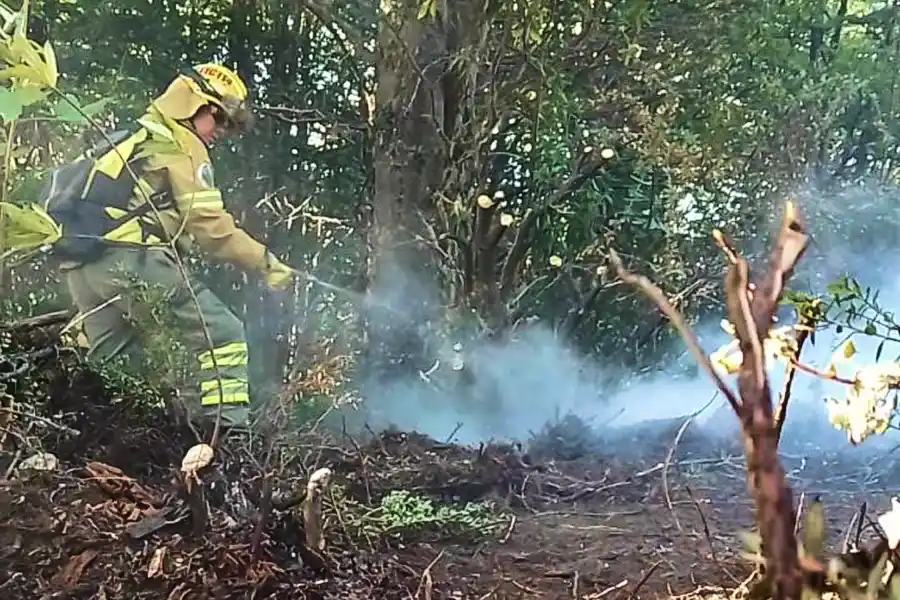 EN ACCIÓN. La tucumana participó del combate a los incendios en la zona de Río Pico. / ANDREA CANGIANI.