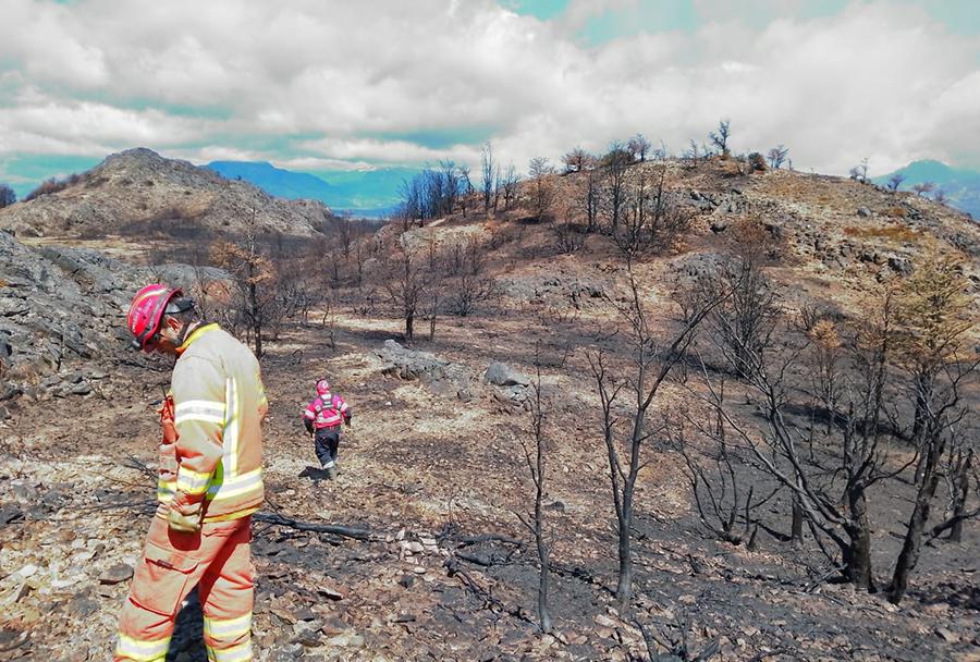 UNA IMAGEN FUERTE. Un panorama desolador acompañó a los bomberos en los últimos días. / ANDREA CANGIANI.