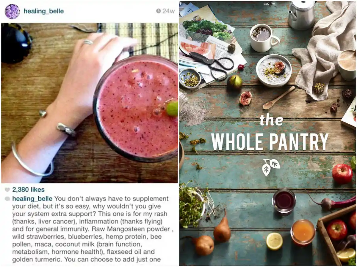 The Whole Pantry, la aplicación y libro de cocina creados por Gibson, promovían una vida saludable basada en mentiras sobre su supuesta recuperación del cáncer.