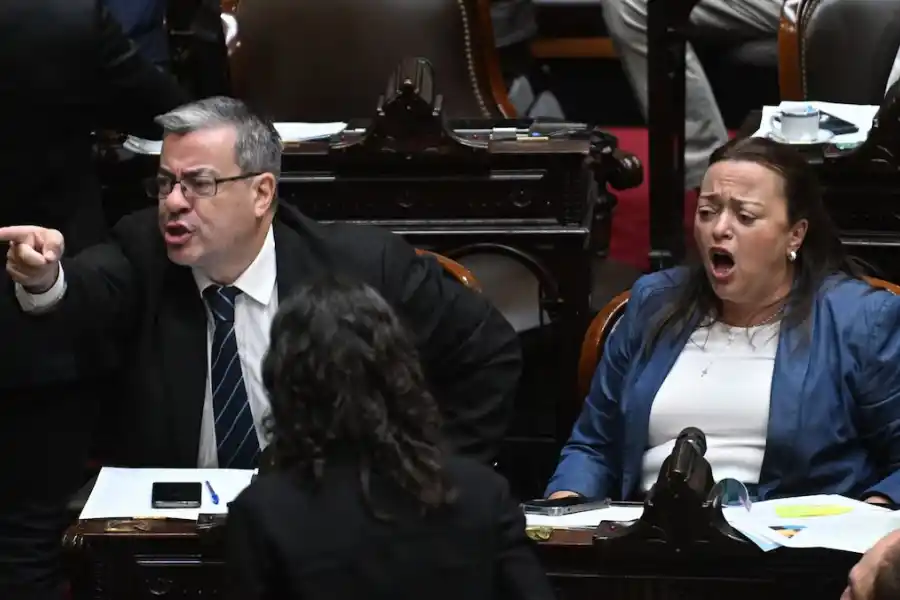 Diputados: Germán Martínez se enojó con Martín Menem y lo invitó a pelear en Segurola y Habana