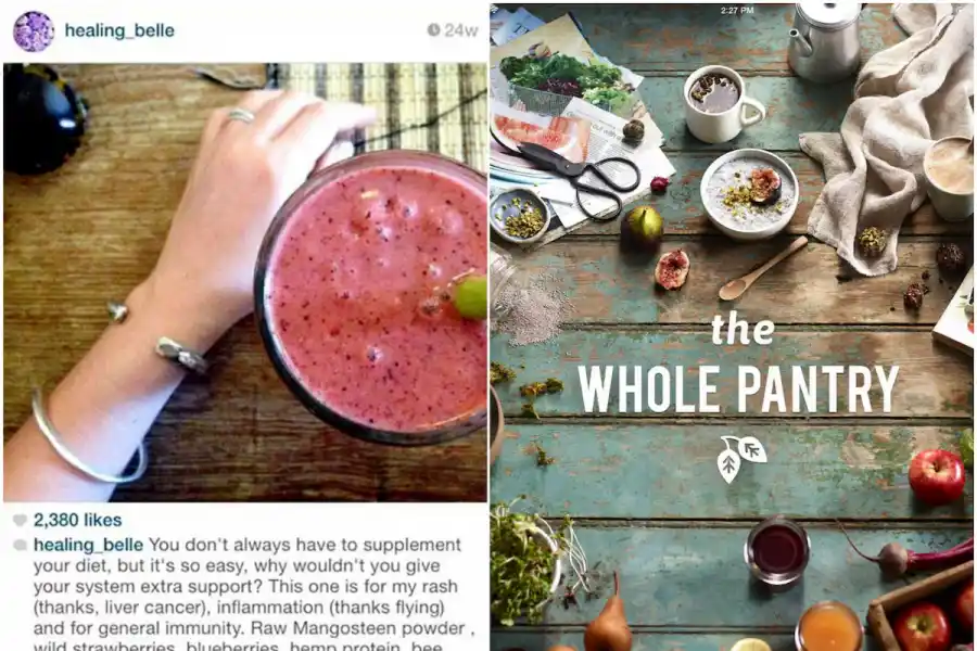 The Whole Pantry, la aplicación y libro de cocina creados por Gibson, promovían una vida saludable basada en mentiras sobre su supuesta recuperación del cáncer.