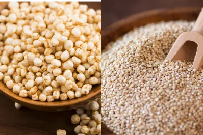 ¿Qué tan saludable es la quinoa pop?: las diferencias entre la quinoa natural y la versión inflada
