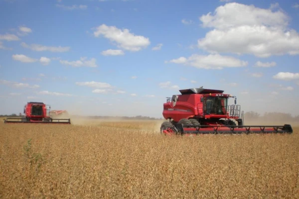 Campaña gruesa: la BCR estima una producción de 47,5 millones de toneladas de soja