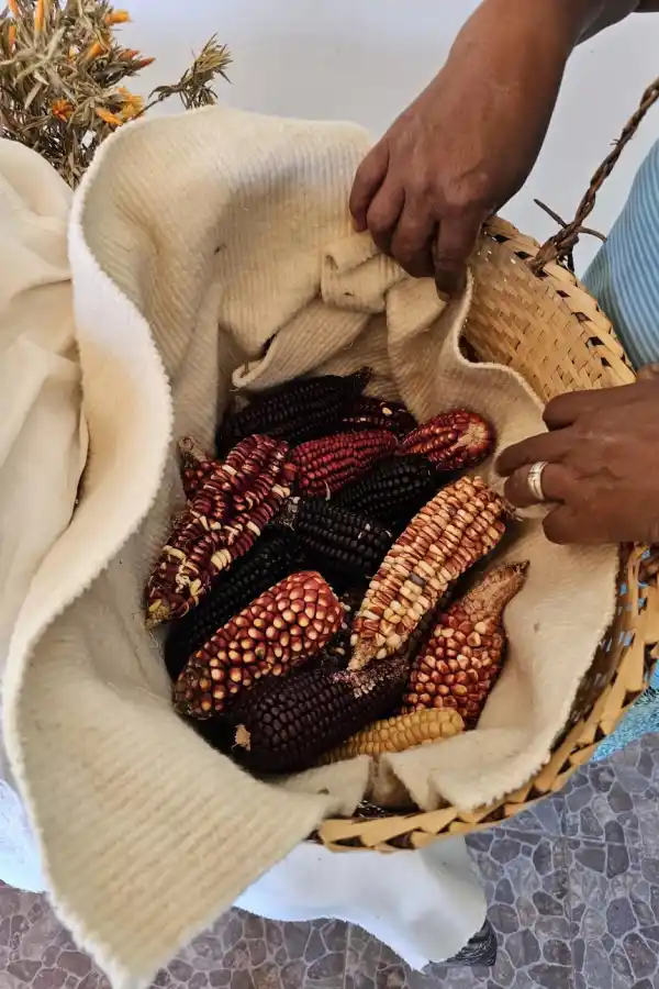 RECONOCIMIENTO. Fue candidata al premio Mujer Rural el año pasado.