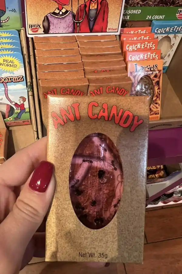 Guía de viaje a Austin Texas