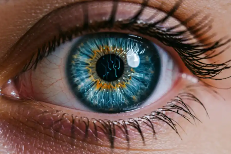 ¿En qué nos convertimos? Ni sapiens ni deus: el 'Homo Augmentus' ya está aquí