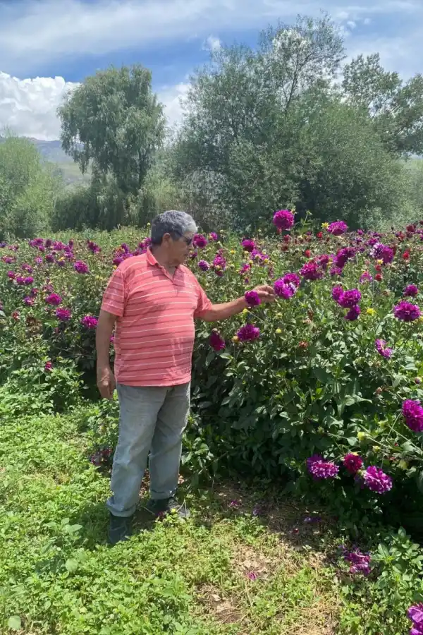 EL LUGAR. Junto a sus flores donde mantiene viva la memoria de su esposa.