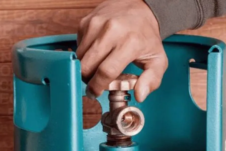 Anses: cuáles son los requisitos para ser titular del Programa Hogar