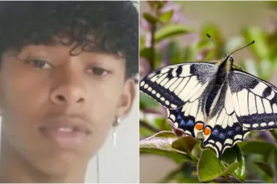 Un adolescente murió e investigan si se inyectó una mariposa triturada