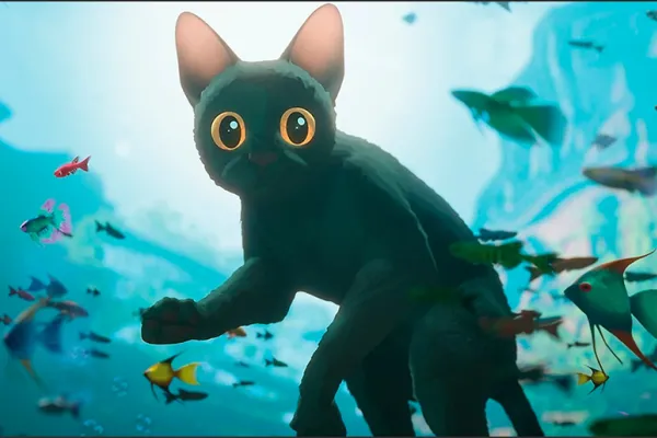 La travesía de un gato en una inundación