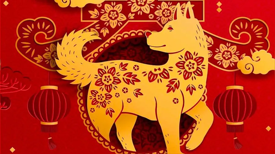 Horóscopo chino: Perro