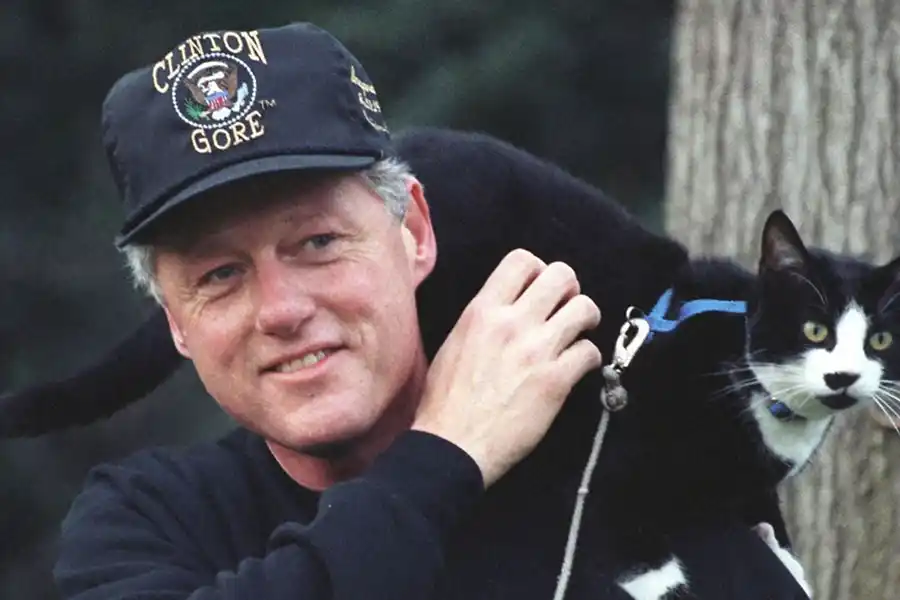 Socks incluso tenía su propio escritorio con su nombre en la Casa Blanca.