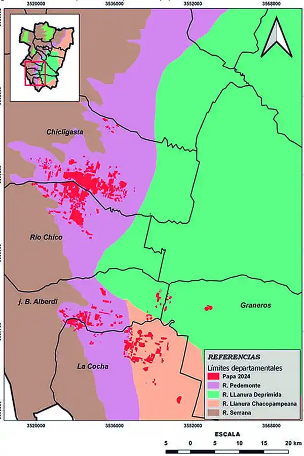 El área sembrada con papa en Tucumán alcanzó su máximo valor en la década, con 9.260 ha