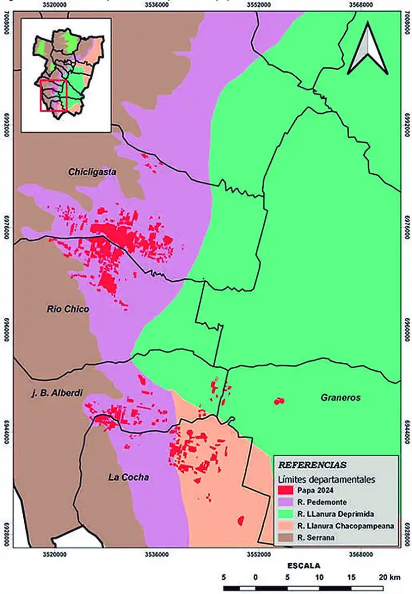 El área sembrada con papa en Tucumán alcanzó su máximo valor en la década, con 9.260 ha