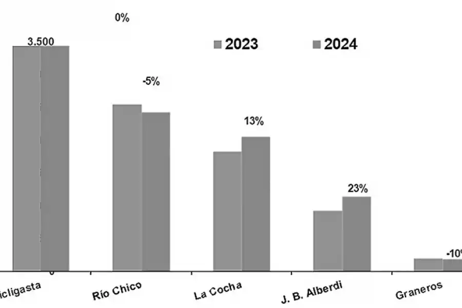 Figura 2: Superficie neta con papa en las campañas 2023 y 2024 y variación porcentual. Fuente: SRYSIG, EEAOC.