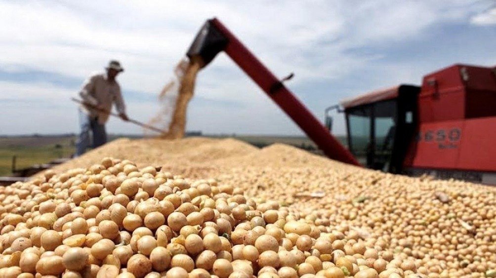 DATO. La liquidación del sector agropecuario se comportó erráticamente.