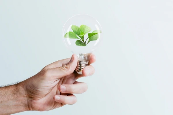 Consejos para tener una rutina más sustentable