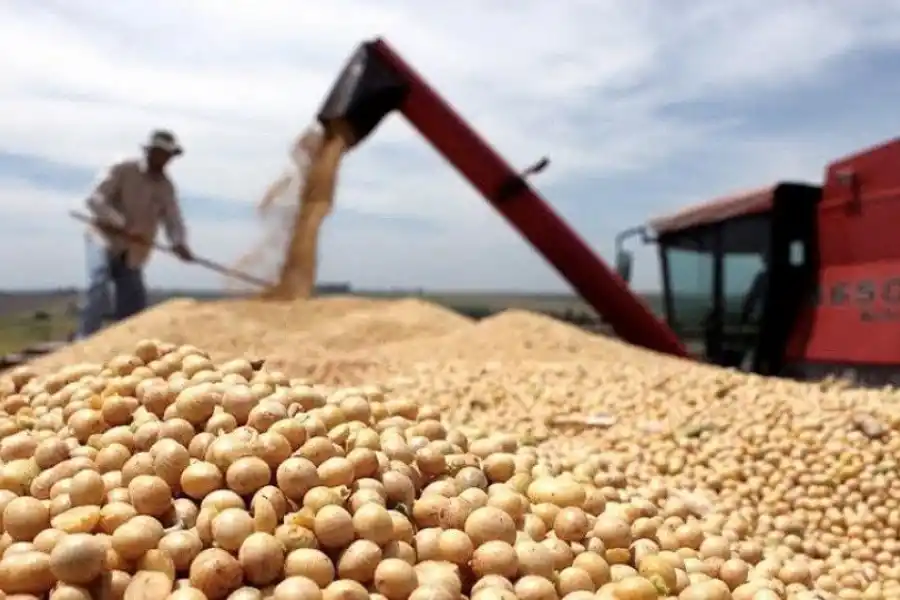 DATO. La liquidación del sector agropecuario se comportó erráticamente.