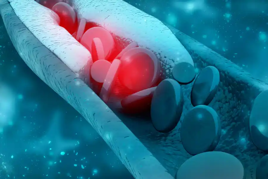 Las novedosas proteínas saludables que bajan el colesterol y ayudan a adelgazar