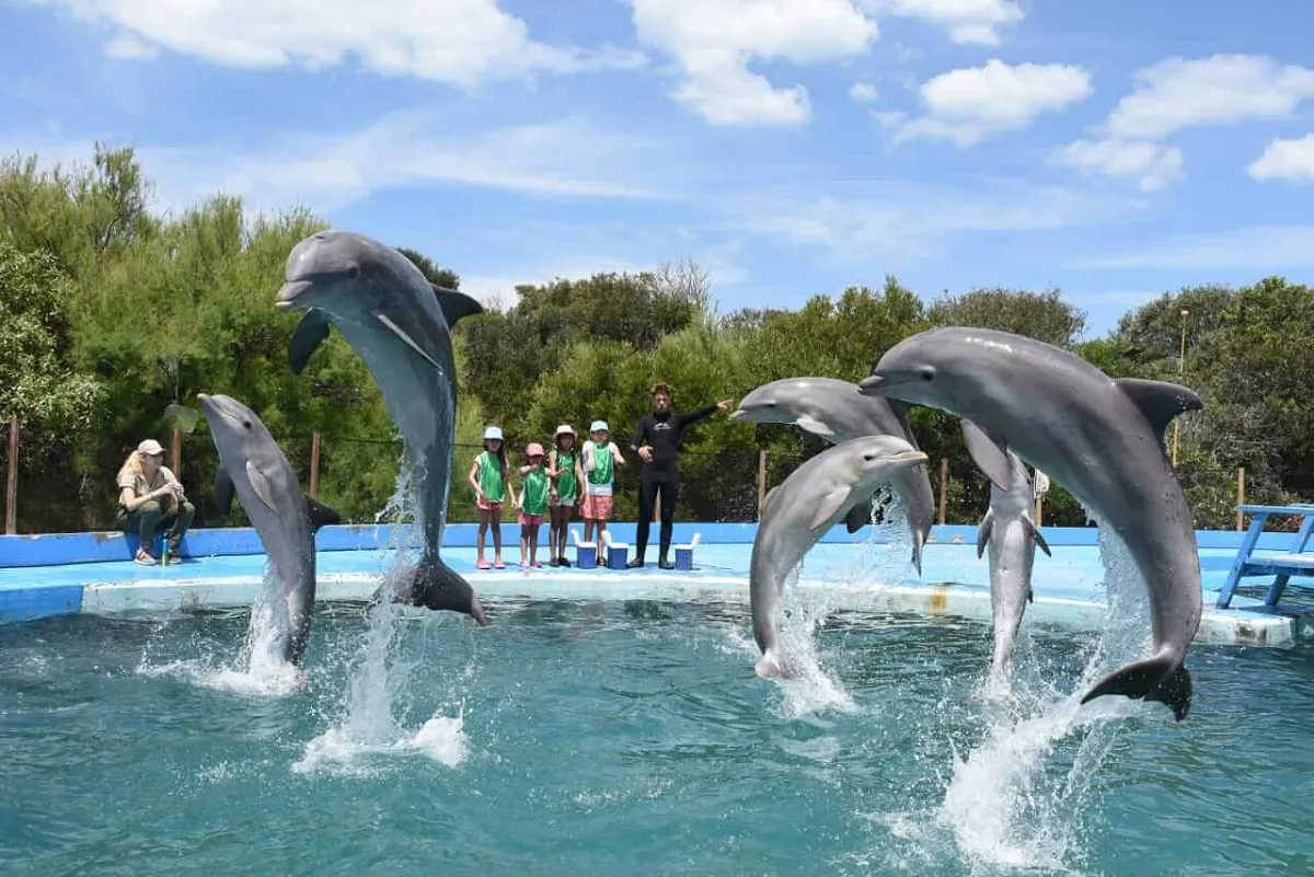 Anuncian el cierre definitivo del Aquarium de Mar del Plata: qué pasará con los delfines