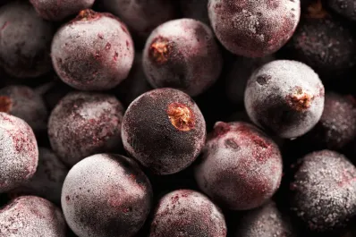 Oro negro: el desconocido superalimento que aporta cuatro veces más vitamina C que las naranjas