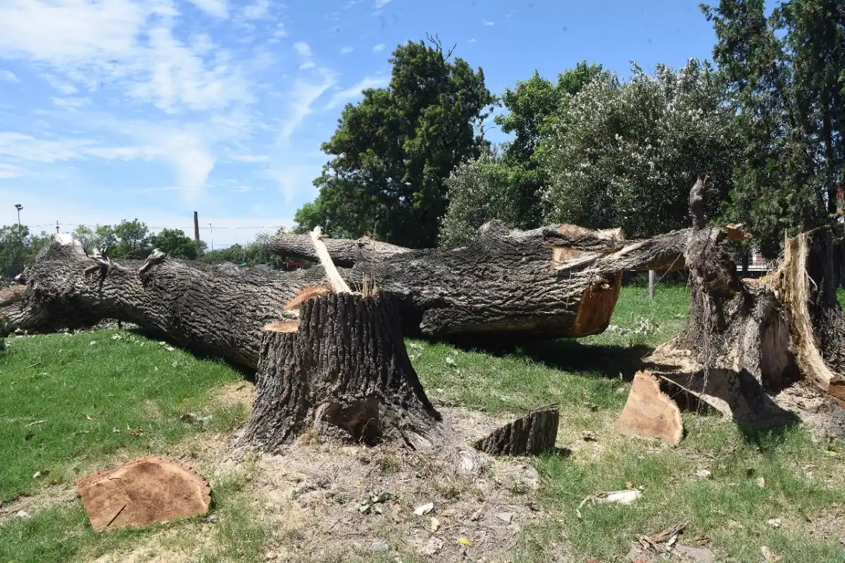 LA GACETA/FOTO DE ANALÍA JARAMILLO 