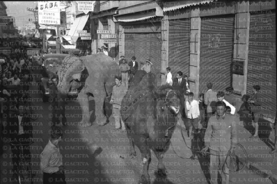 Recuerdos fotográficos: llegó el circo