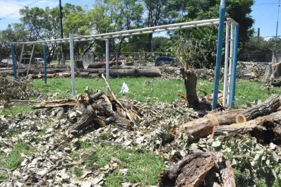 Talaron 50 árboles en el CEF 18: Ninguno estaba en buenas condiciones