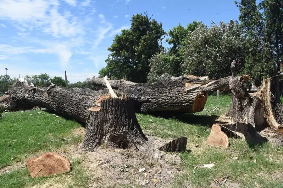 LA GACETA/FOTO DE ANALÍA JARAMILLO 