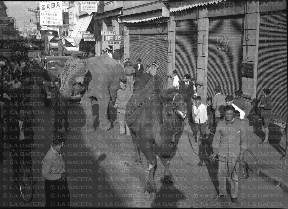 Recuerdos fotográficos: llegó el circo