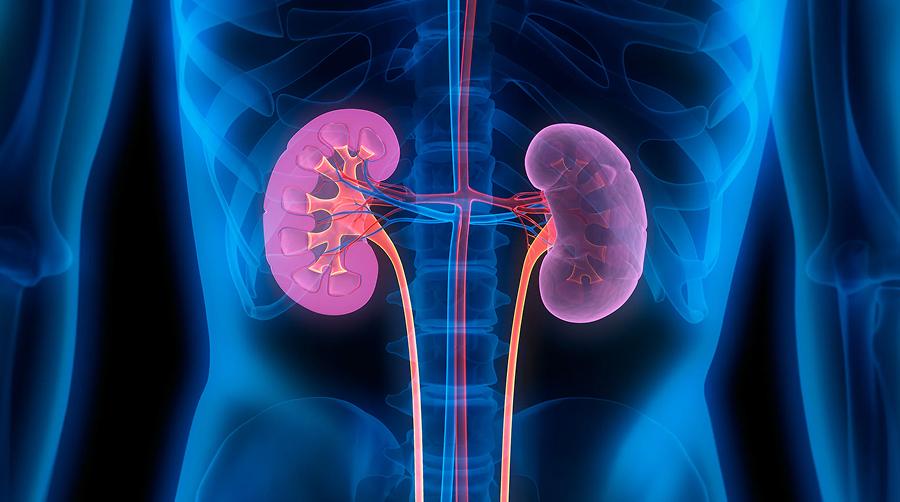 El vinagre de manzana puede afectar la salud renal al reducir los niveles de potasio en el cuerpo