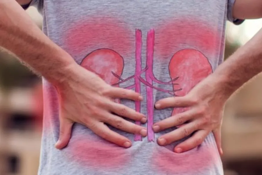 Hay alimentos que dañan nuestros riñones sin que nos demos cuenta