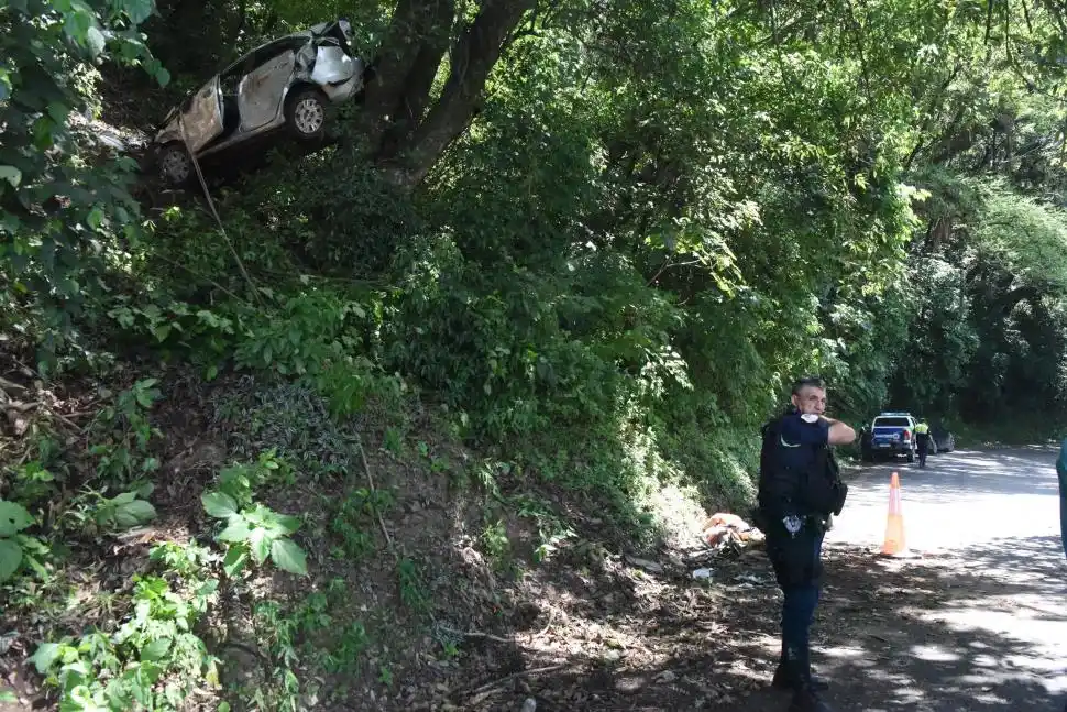 TRABADO POR EL ÁRBOL. Allí se frenó la caída de 50 metros del auto.