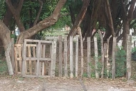Caos y abandono en los terrenos ferroviarios de Tucumán: la calle Italia, símbolo de un Estado ausente