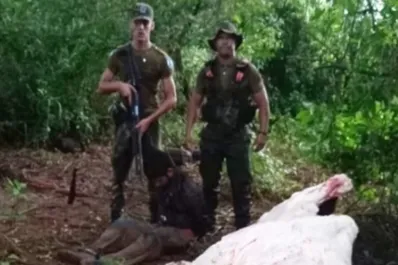 Corrientes: sorprenden a ladrones faenando un toro y escapan a Paraguay a los tiros