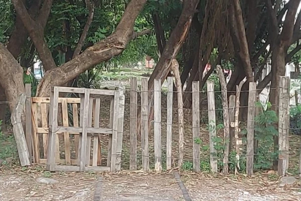 Caos y abandono en los terrenos ferroviarios de Tucumán: la calle Italia, símbolo de un Estado ausente