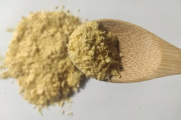 Cuál es el condimento que aporta nutrientes esenciales y mejora la digestión