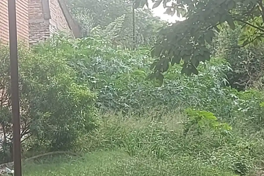 La selva junto al Cuartel de Bomberos, en 25 de Mayo y vías, es una guarida para todo tipo de delitos.