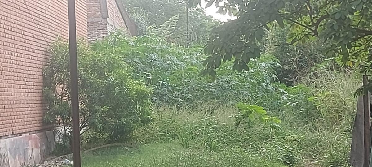 La selva junto al Cuartel de Bomberos, en 25 de Mayo y vías, es una guarida para todo tipo de delitos.