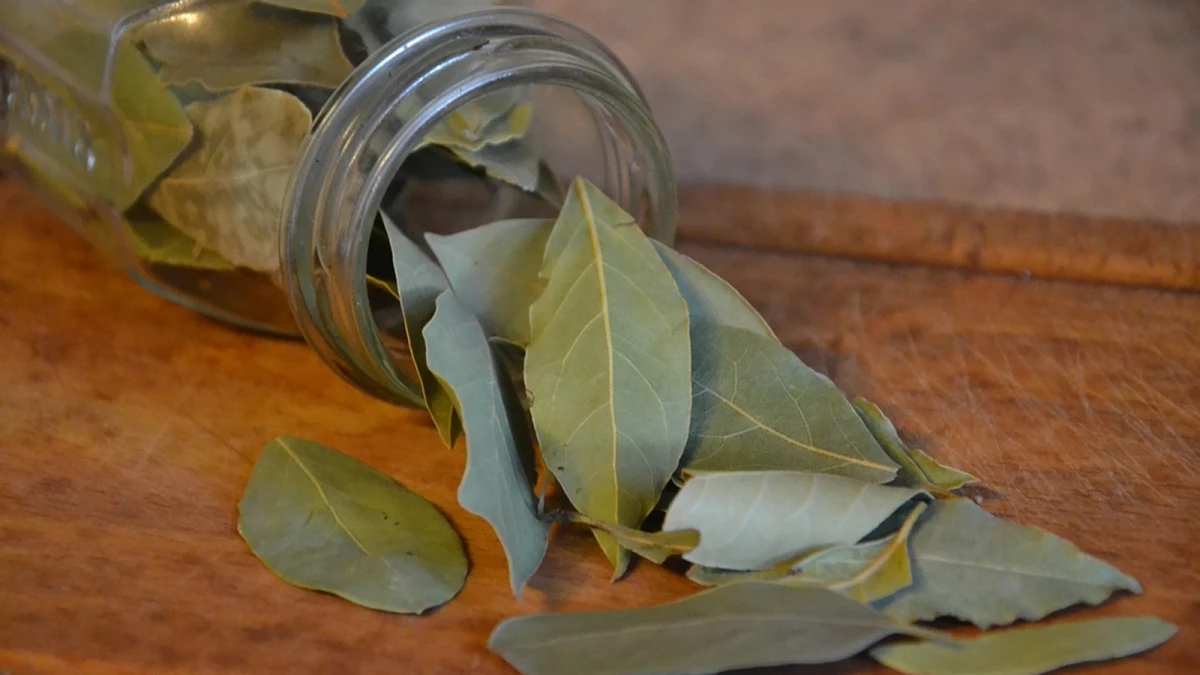 El laurel destaca por sus propiedades protectoras y de atracción de la buena fortuna.