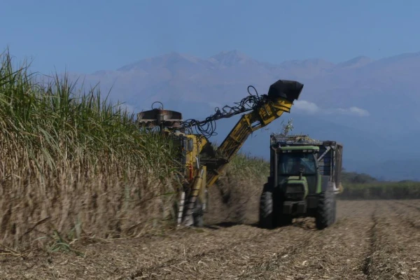 Mitigación del cambio climático: el Ipaat expuso en Nueva York su trabajo con la industria azucarera tucumana