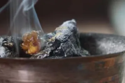 Ritual de laurel y azúcar: cómo es el poderoso secreto para la buena suerte