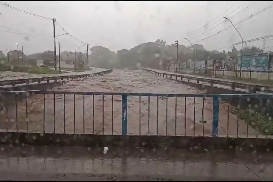 El canal Sur cerca del desborde.