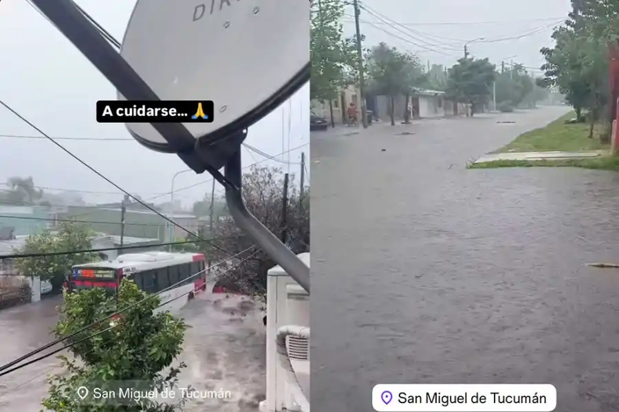 Imágenes compartidas por el periodista Matías Auad.
