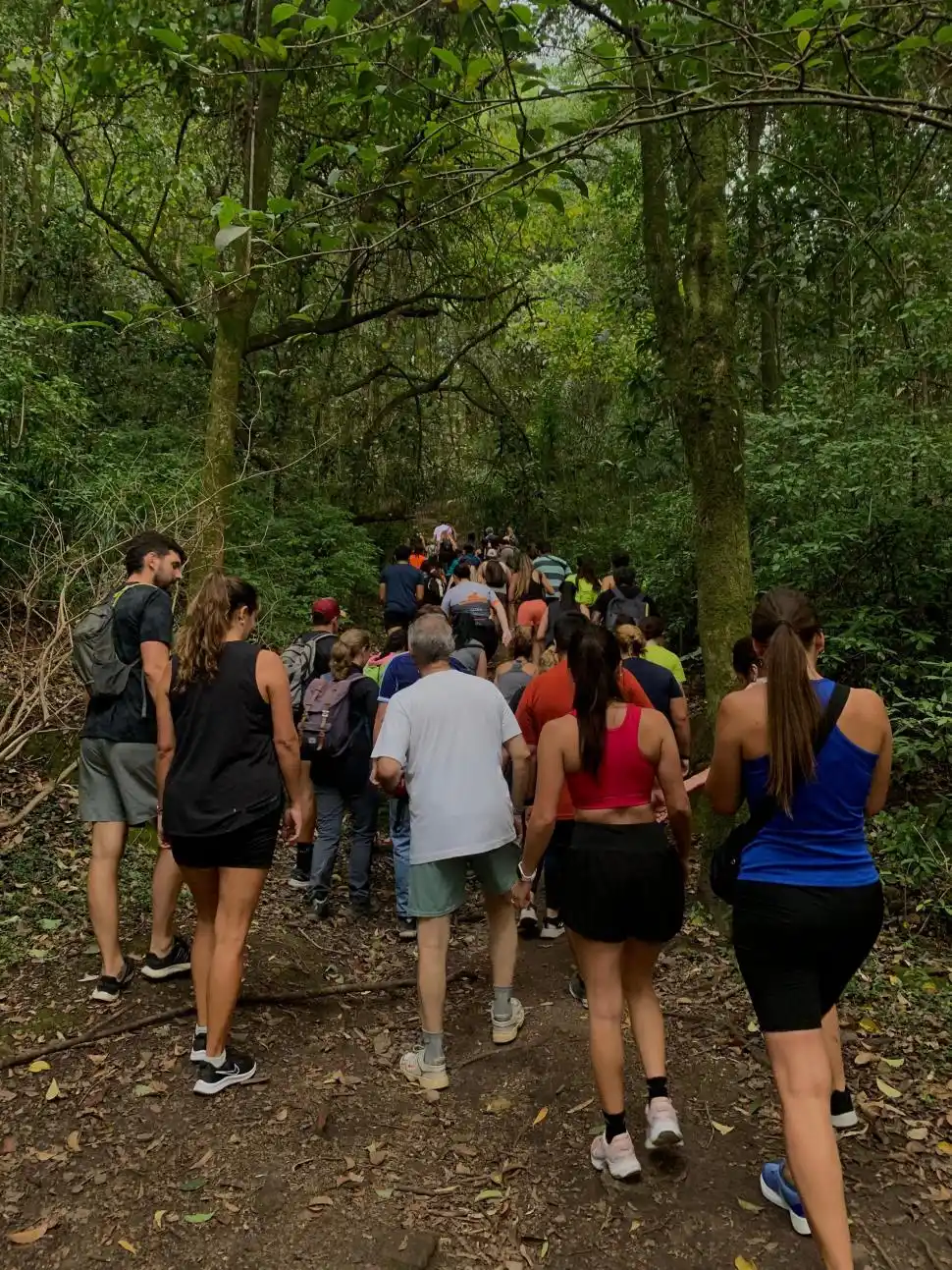 Trekking nocturno: el encanto de hacer ejercicios bajo las estrellas