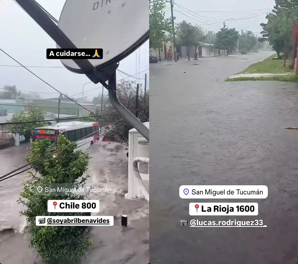 Imágenes compartidas por el periodista Matías Auad.