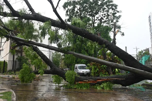 Alerta meteorológica por vientos de hasta 110 kilómetros por hora